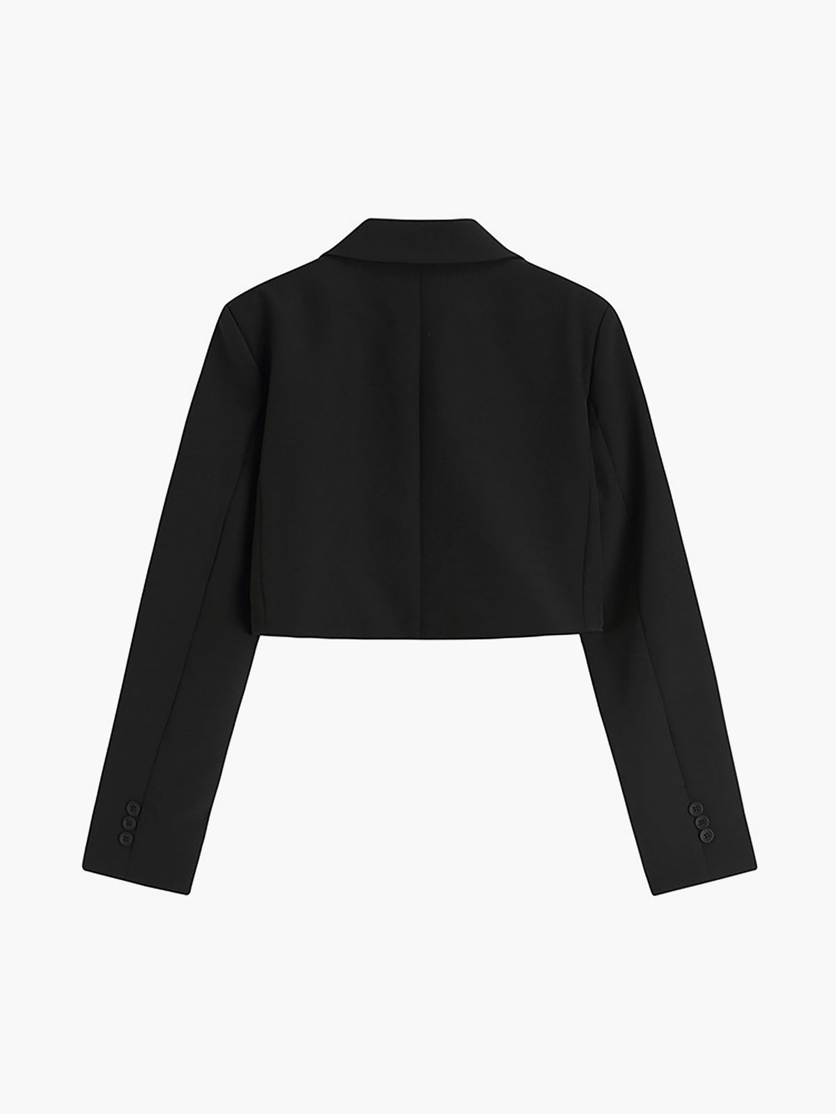Şık Crop Blazer