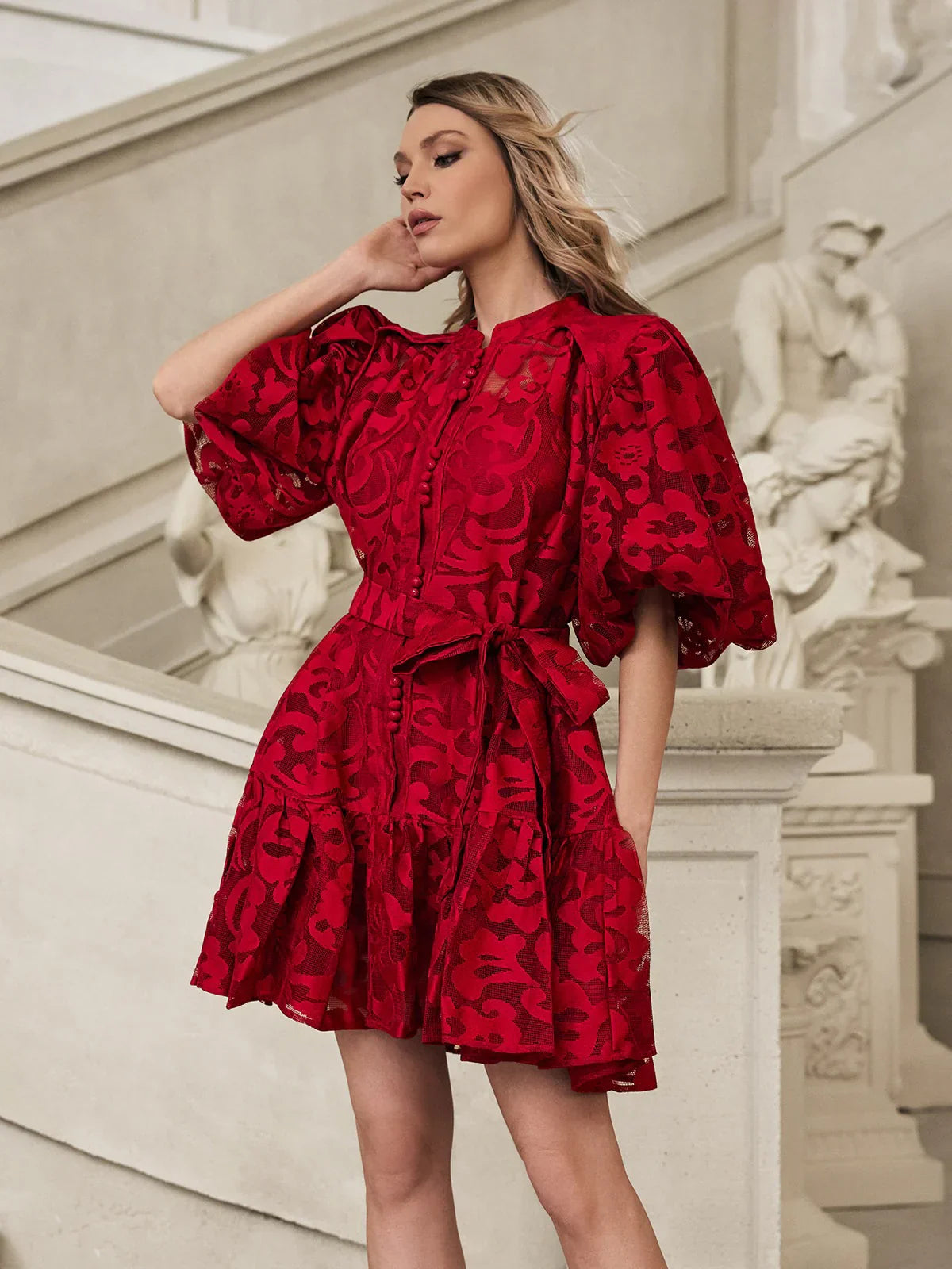 Isadora Embroidered Organza Mini Dress 