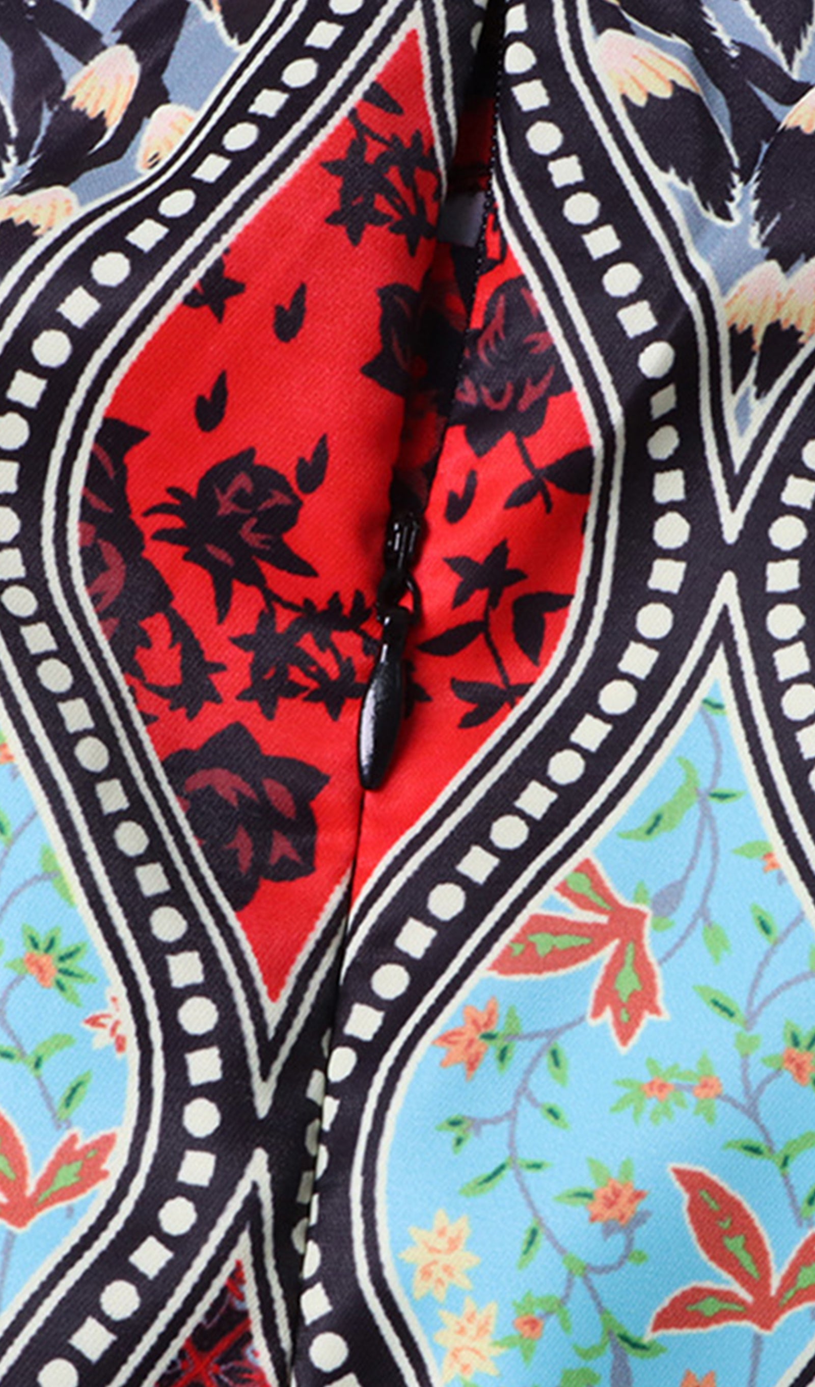 Printed Lantern Sleeve Mini Dress
