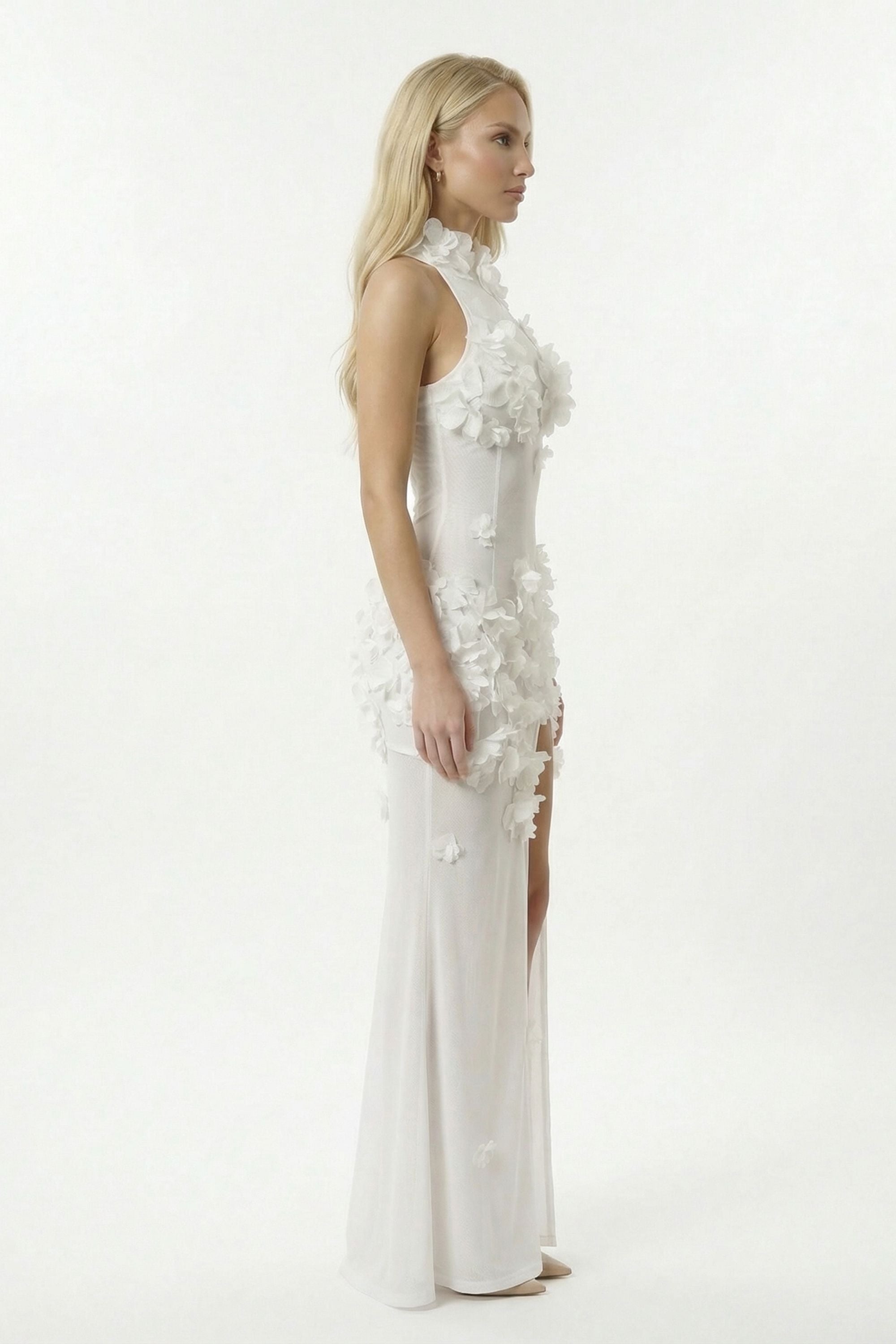 Clytie Maxi Elbise