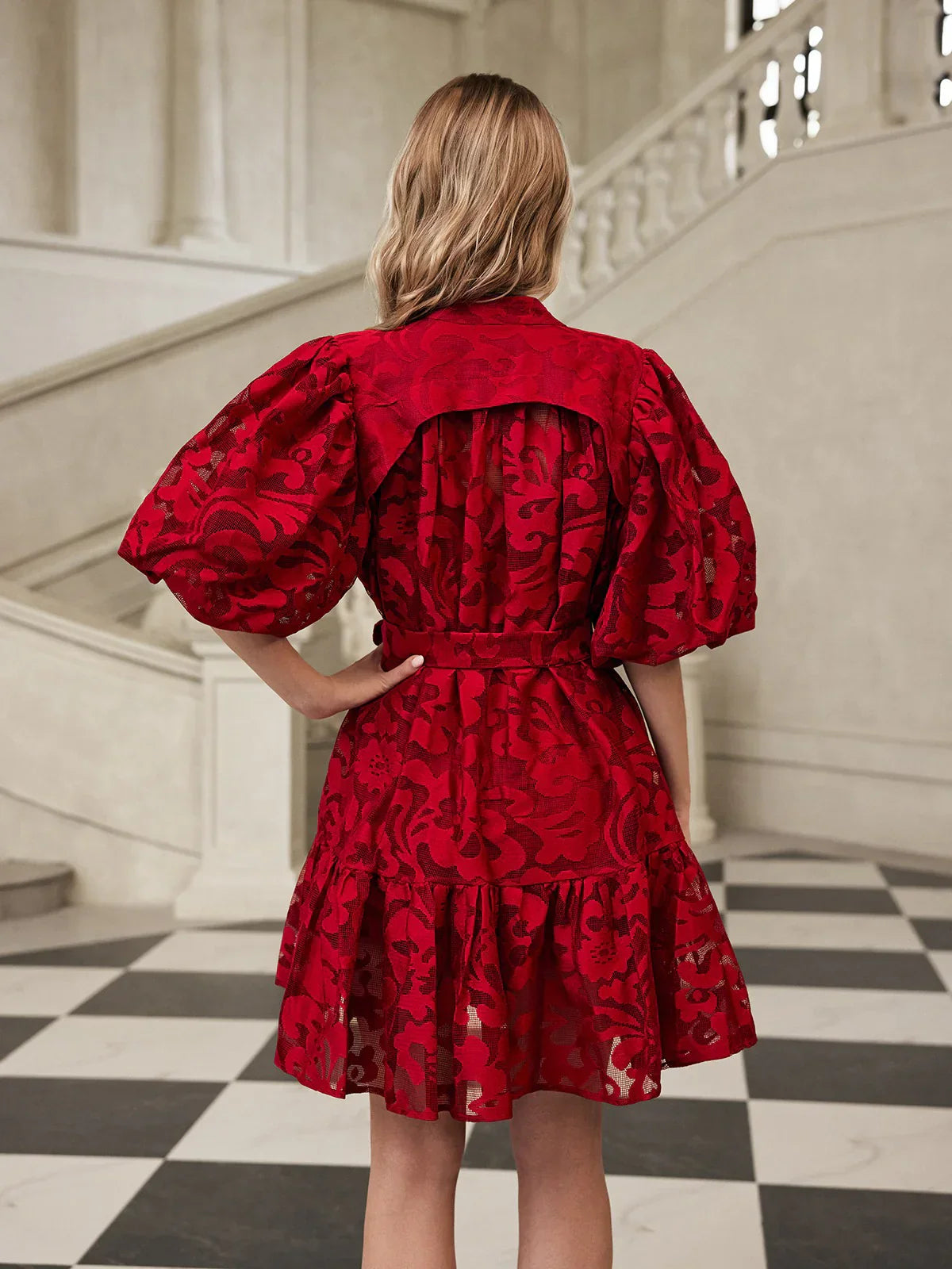 Isadora Embroidered Organza Mini Dress 