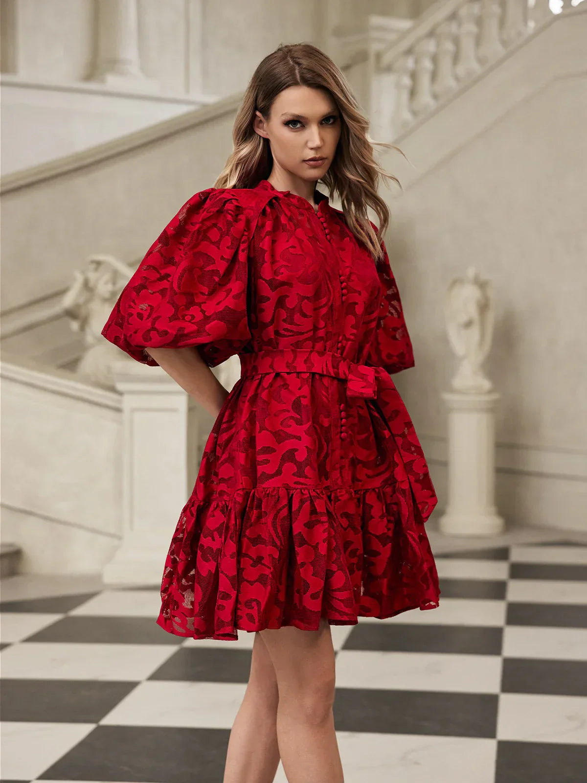 Isadora Embroidered Organza Mini Dress 