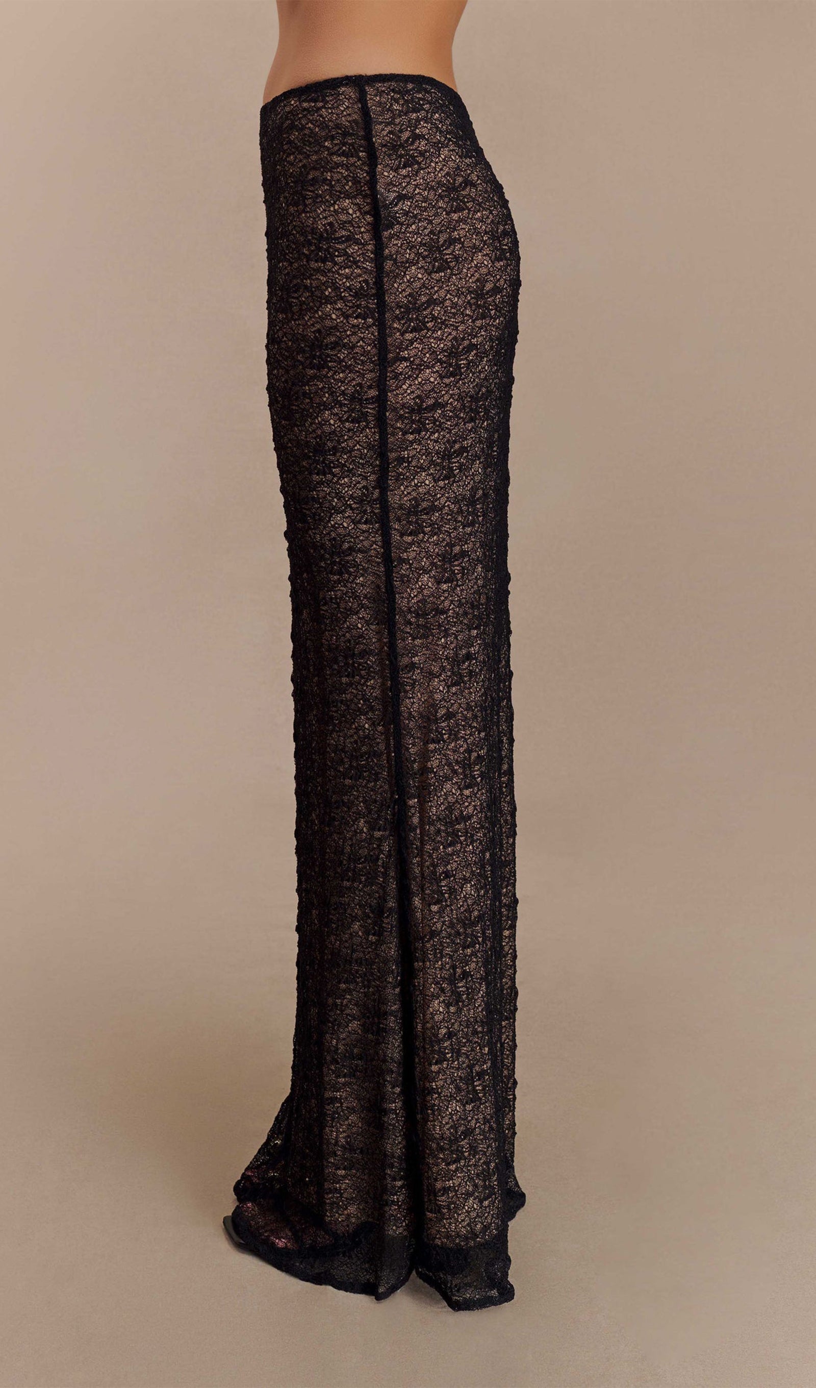Transparent Lace Maxi Skirt
