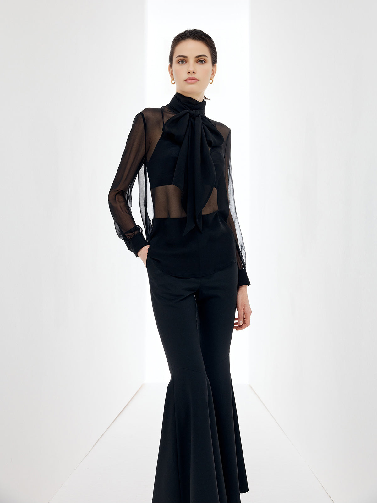 Transparent Bow Chiffon Blouse