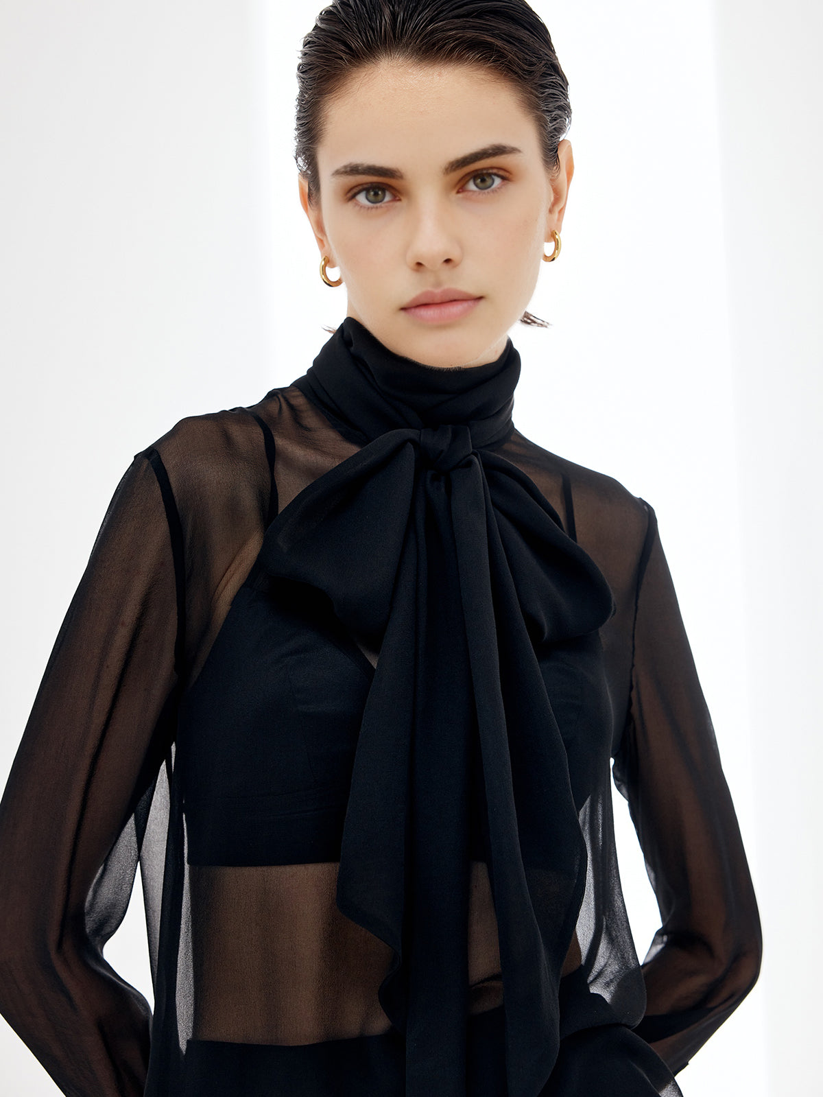 Transparent Bow Chiffon Blouse