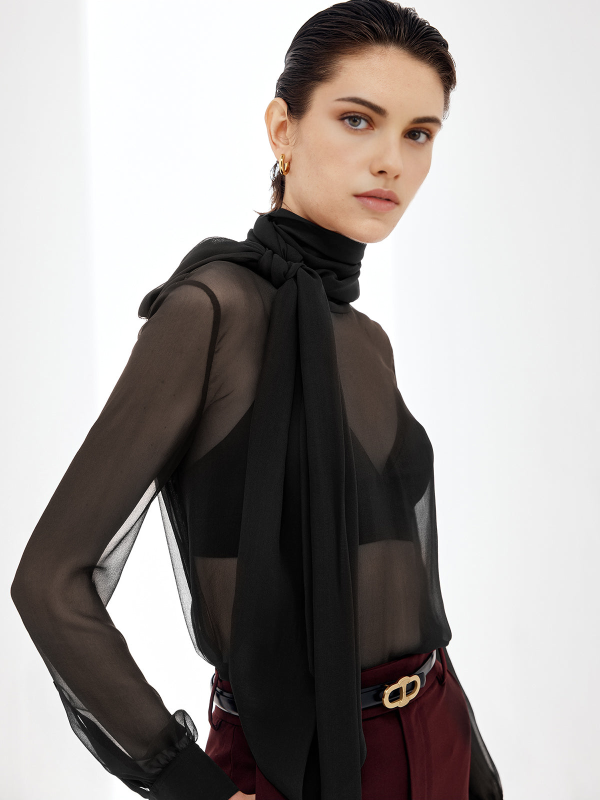 Transparent Bow Chiffon Blouse