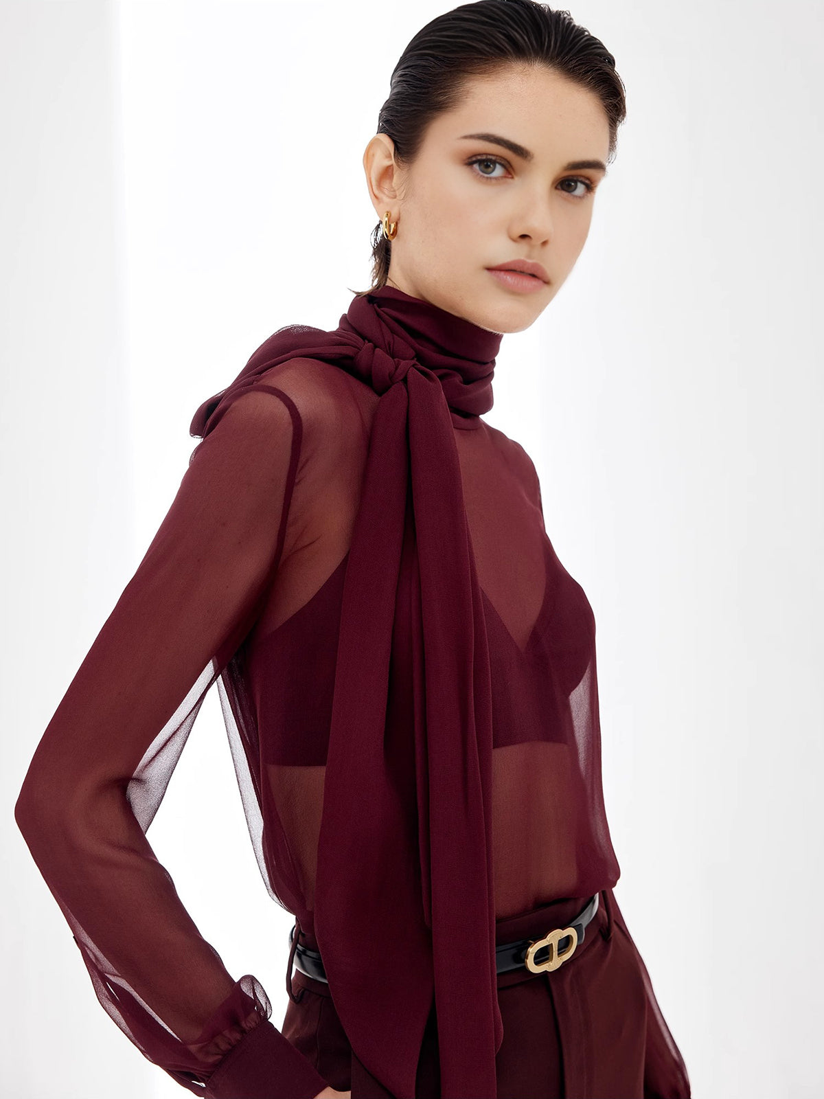 Transparent Bow Chiffon Blouse