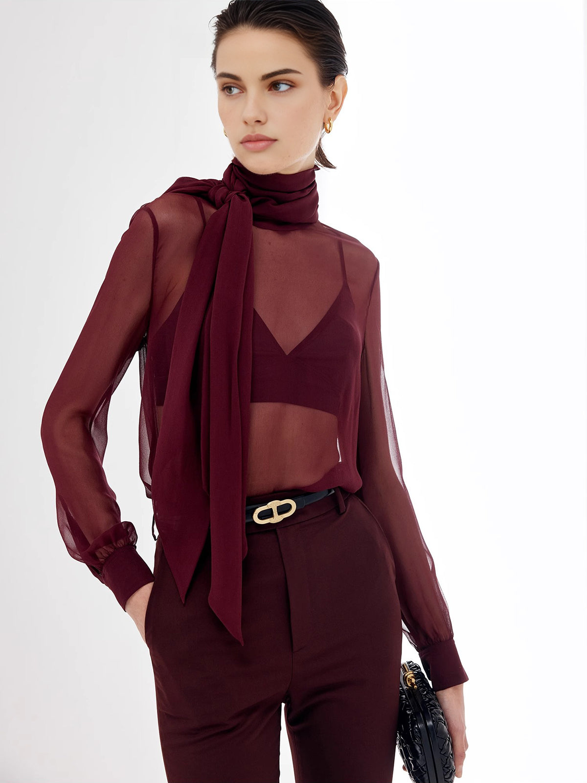 Transparent Bow Chiffon Blouse