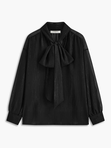 Semi-Sheer Lace-Up Chiffon Blouse