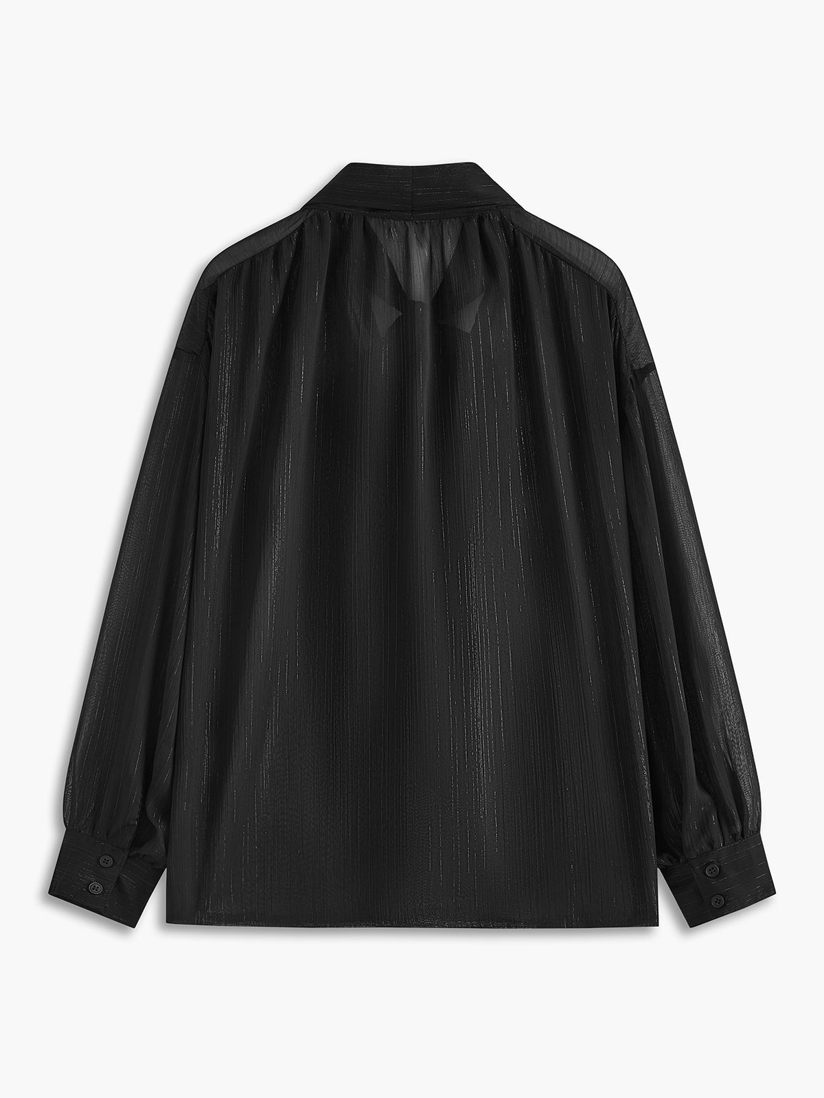 Semi-Sheer Lace-Up Chiffon Blouse