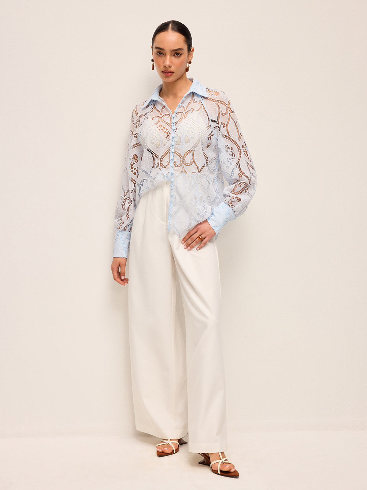 Fabric Buttoned Sheer Lace Blouse
