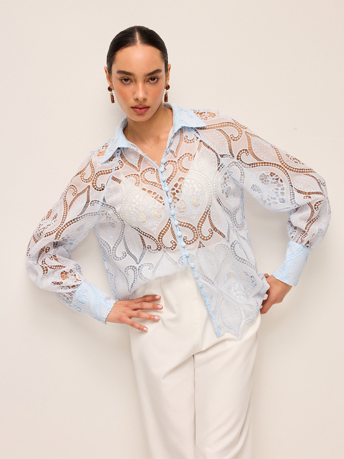 Fabric Buttoned Sheer Lace Blouse
