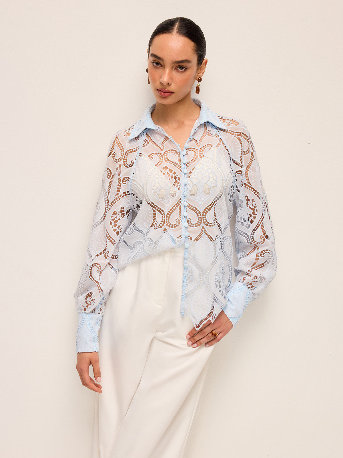Fabric Buttoned Sheer Lace Blouse