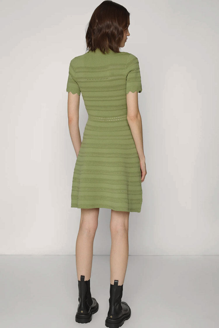 Geknöpftes, kurzärmeliges Strickminikleid – Grün